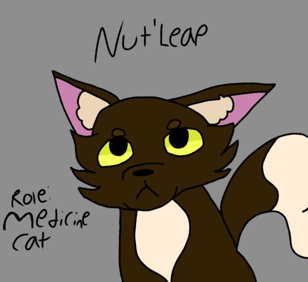 my warrior cats OC