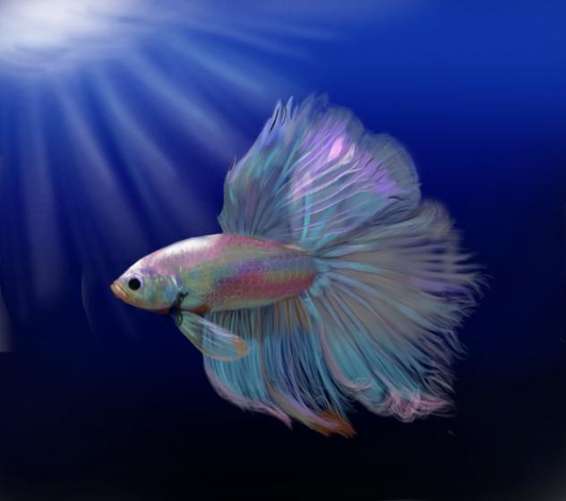 ✨Iridescent ✨