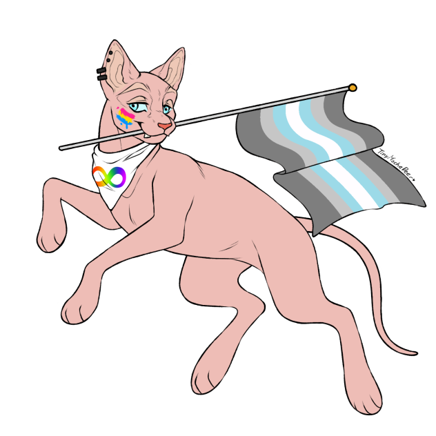 Happy pride with Bingus