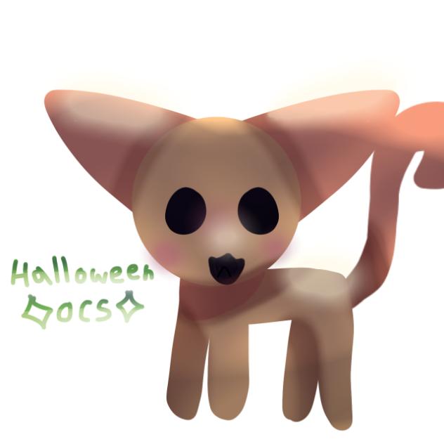 🐈p u m k i n t y🎃