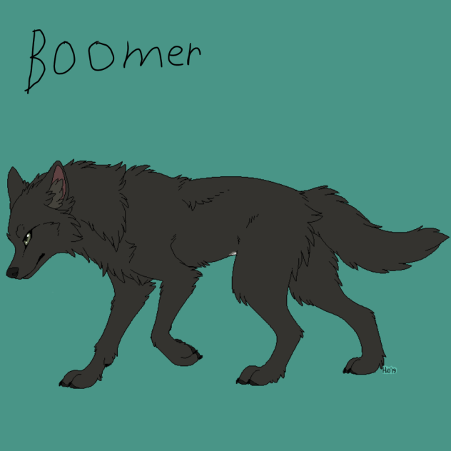 Boomer