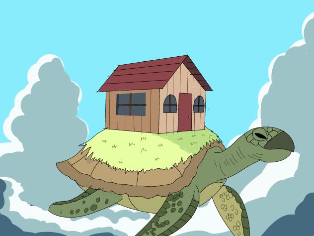 Turtle in sky