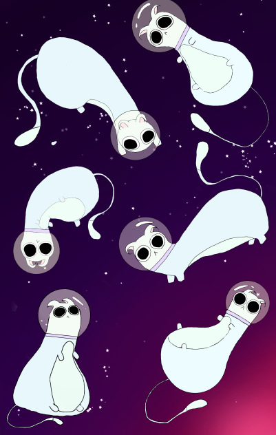 🌌space cat🌌