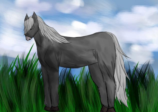 Horseyyyy