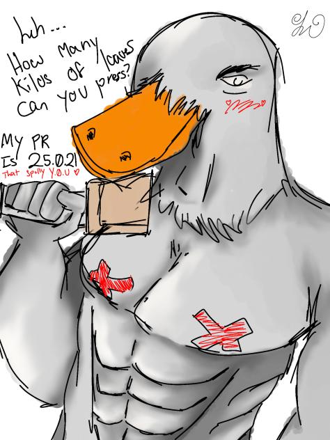 silly duck doodle