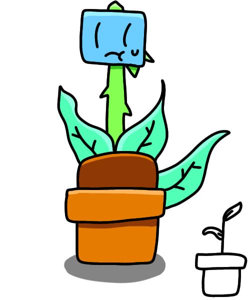 Planty