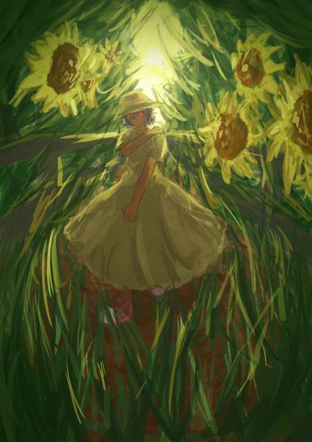 sunflower