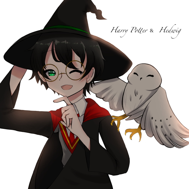 Harry Potter & Hedwig