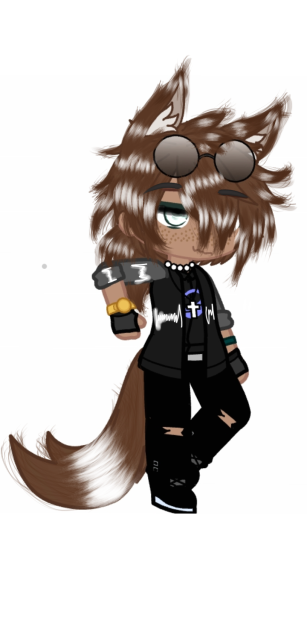 gcboy
