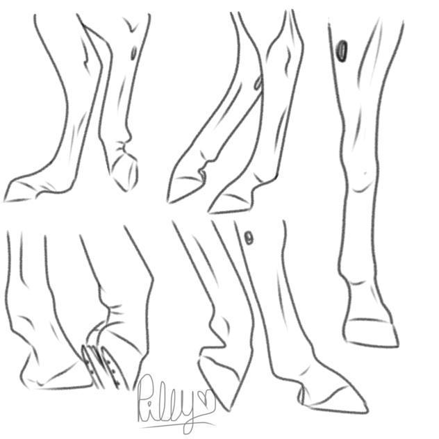 Horse legs #1 sketch no color