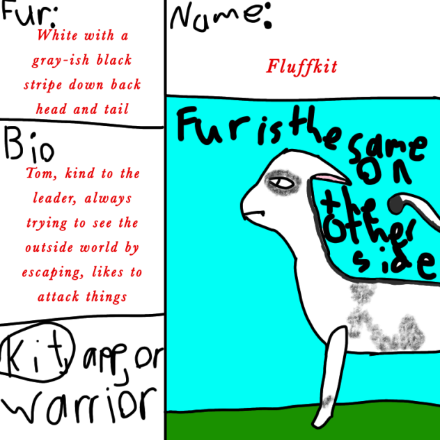 My Warrior Cats OC