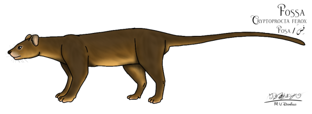 Fossa