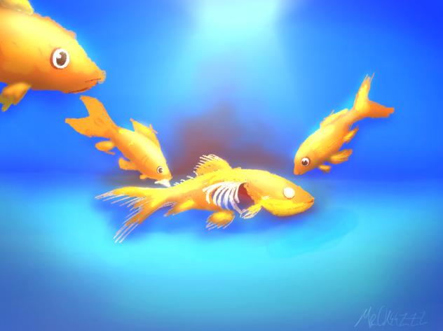 fish tank