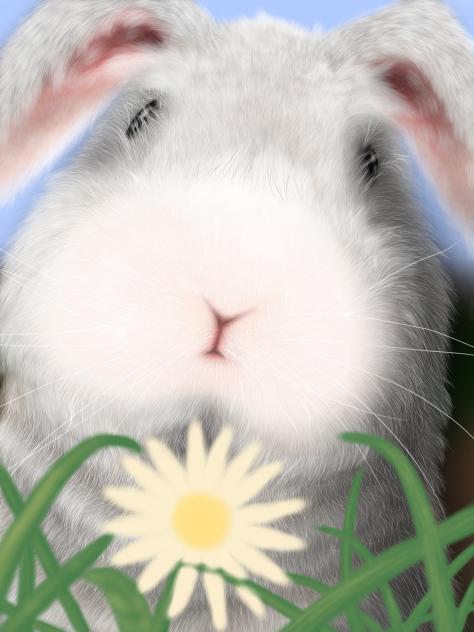 Mr. Bun Bun