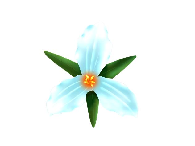 White Trillium Flower Material
