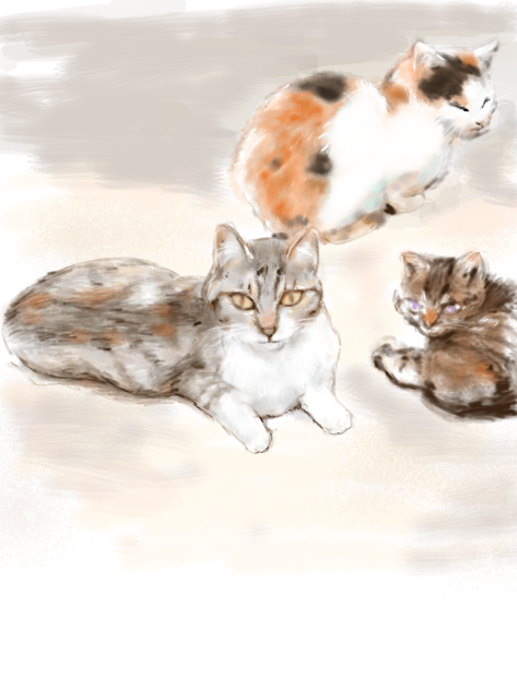 …見てんじゃねーよ