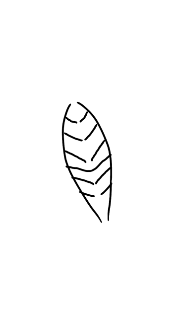 leaf 4 - ibisPaint
