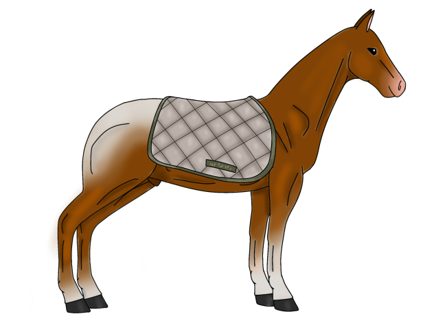 green saddle pad 🍃