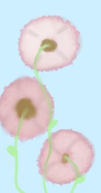 Flowers - ibisPaint