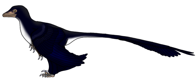 Microraptor hanqingi render