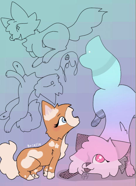 Cat Collab