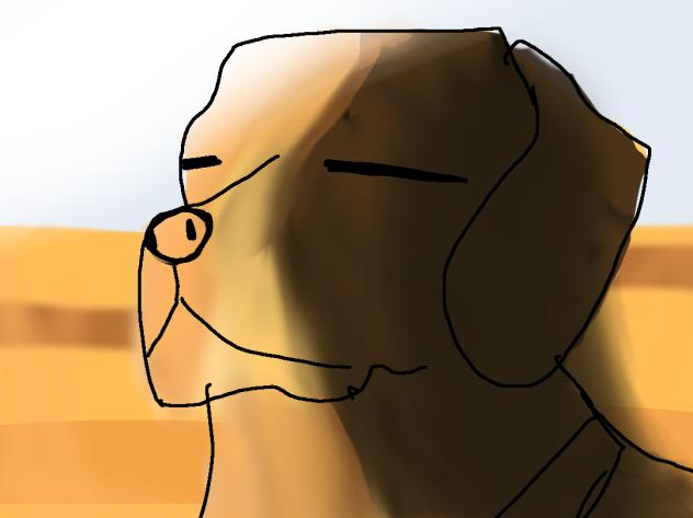Cooked Dog Meme