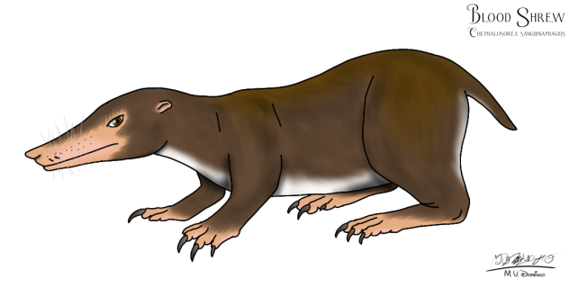 Blood Shrew