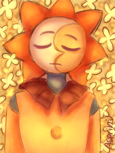 Sundrop in yellow flowers