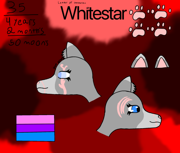 Whitestar concept 1.0