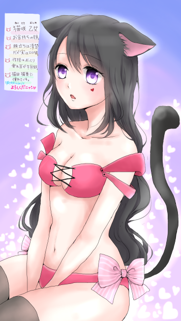 ≪猫仲間参加希望★≫