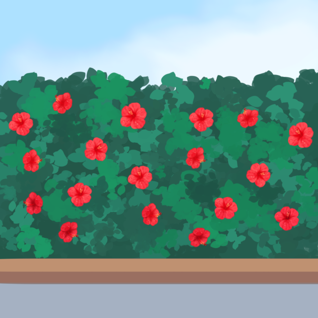 hibiscus wall - ibisPaint