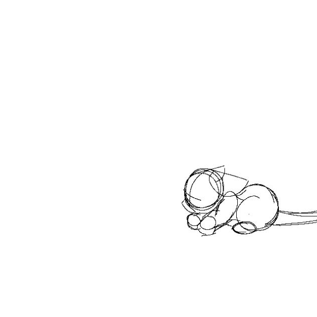 pounce