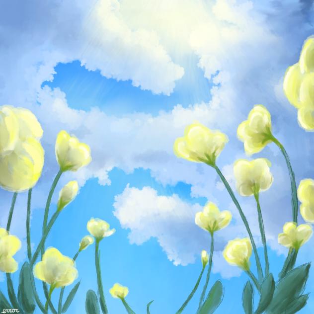 yellow flowers 💛