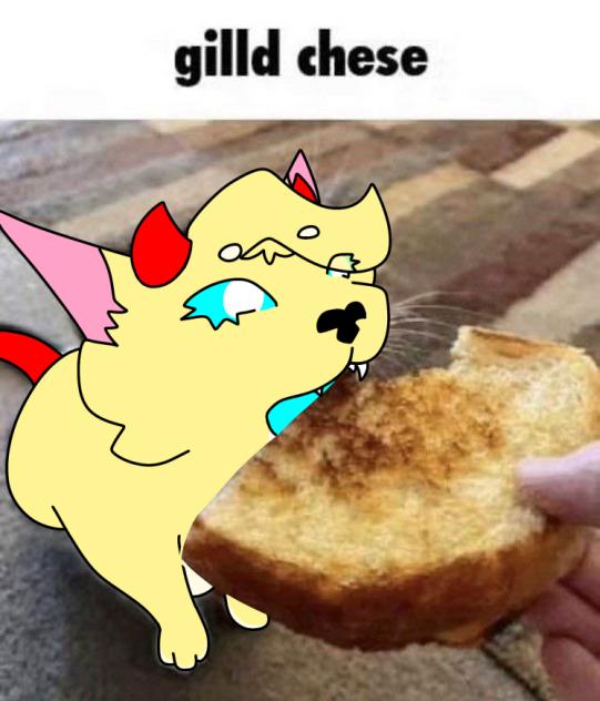 gilld chese