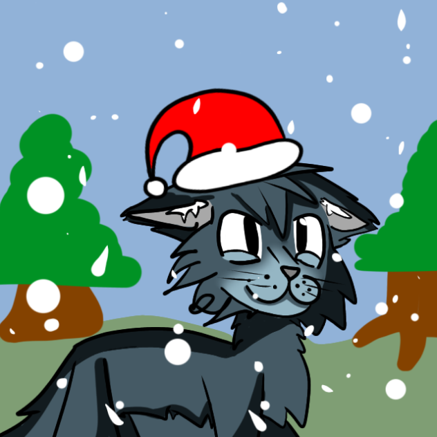 santa cat