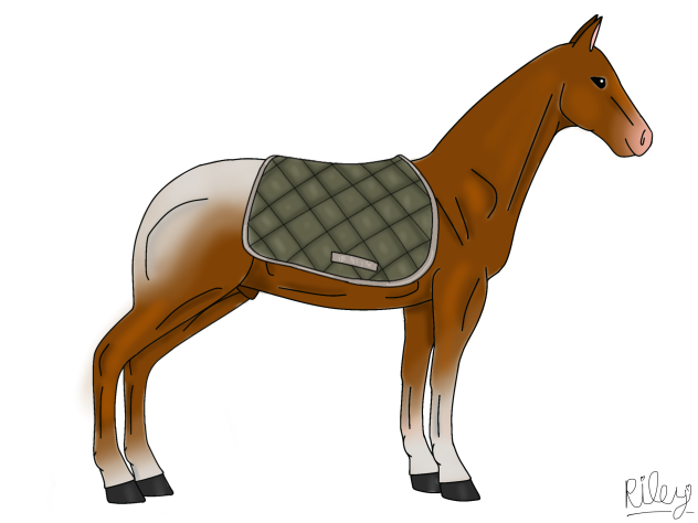 dark green saddle pad 🌲