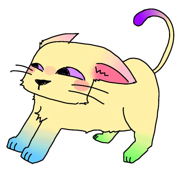 Gato no vento