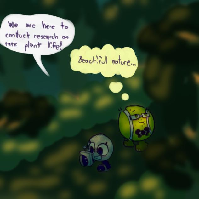 Forest walk