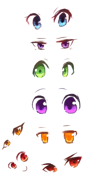 目の形いろいろ