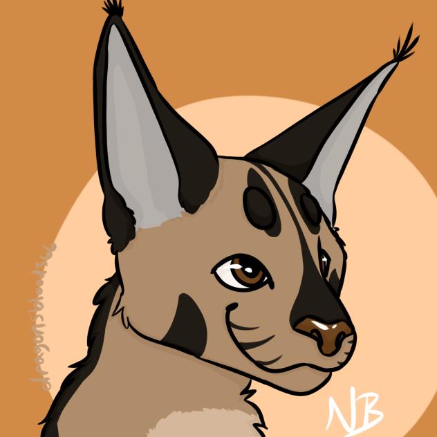 caracal hotaru headshot