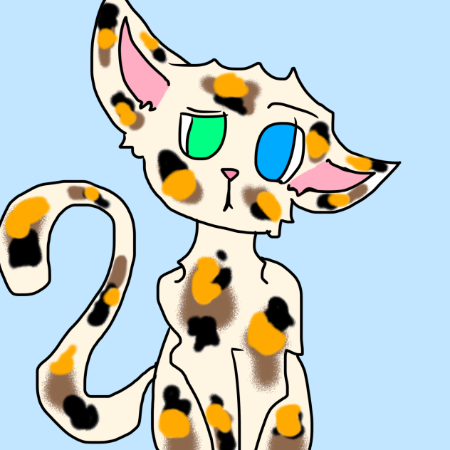 Kalico Kat