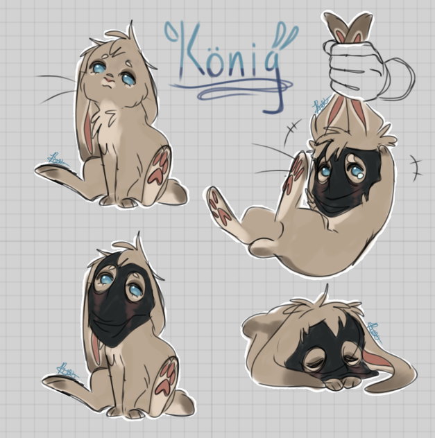 König but Bunny