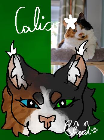 Mask design for my bestie