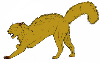 TWBLOOD Pure Golden Cat