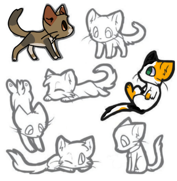 Cat collab (again)
