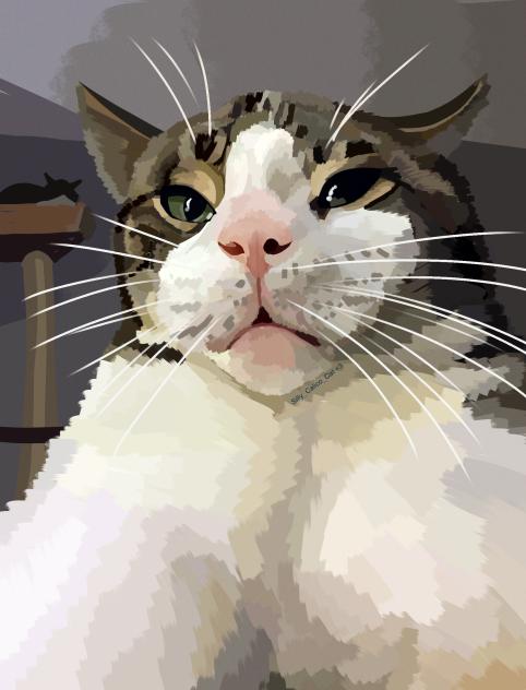Mrrrreowwowa