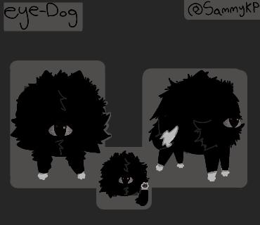 eye dog