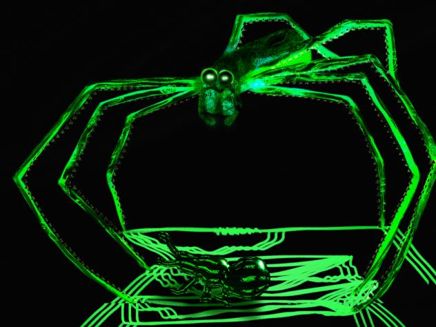 green net casting spider