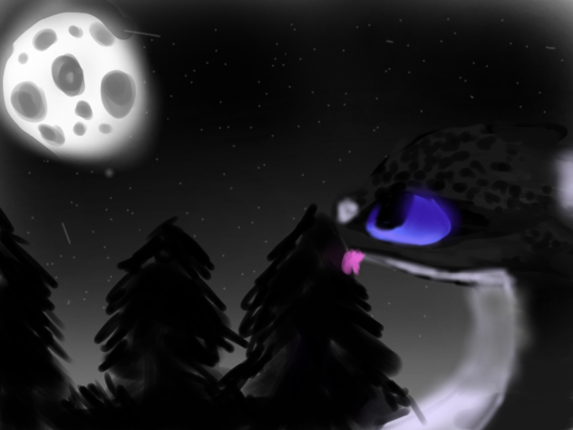 An full moon night - ibisPaint