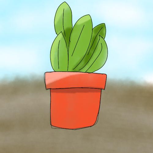 Potted Plant